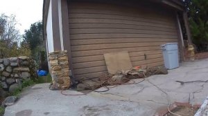 В Калифорнии огромного медведя выгнали из подвала дома спустя 37 дней