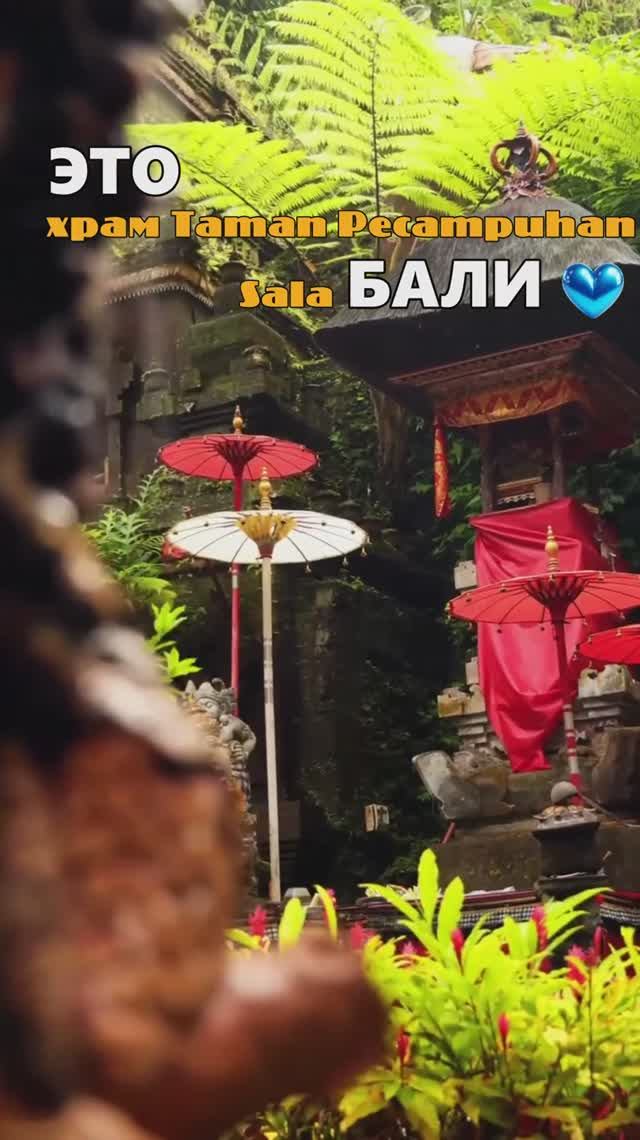 Место, где можно очистить душу! 🧘♂️🪷🙏🇮🇩❤️Pura Taman Pecampuhan Sala смотреть онлайн
