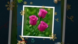 Нежного утра... И прекрасного дня... всем...