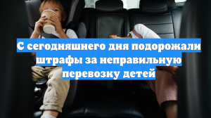 С сегодняшнего дня подорожали штрафы за неправильную перевозку детей
