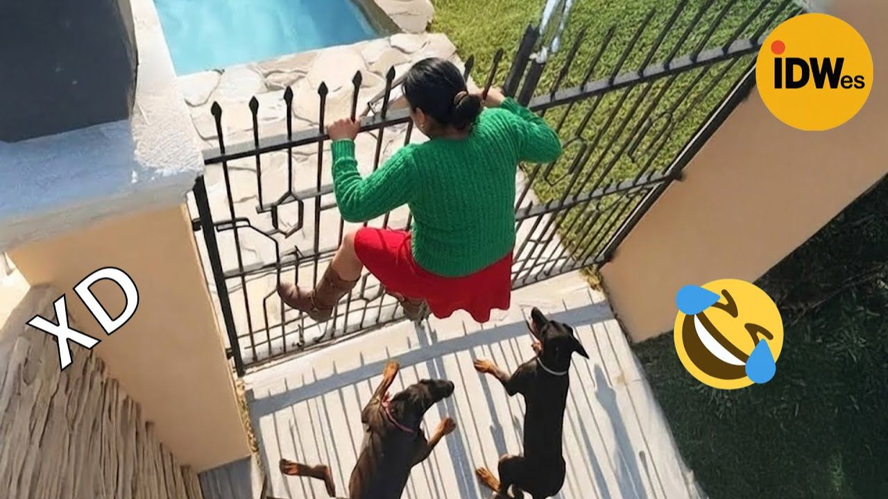 ПОСТАРАЙСЯ НЕ СМЕЯТЬСЯ !!! 🤣🤣🤣 смотреть онлайн