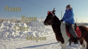 Люди Кони Снег Мороз