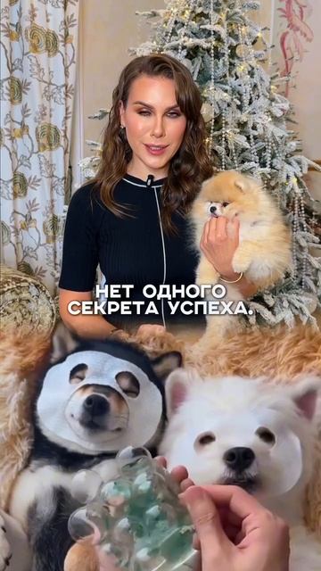 Поверьте себя смотреть онлайн