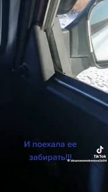 Щенок🐶 на обочине шоссе