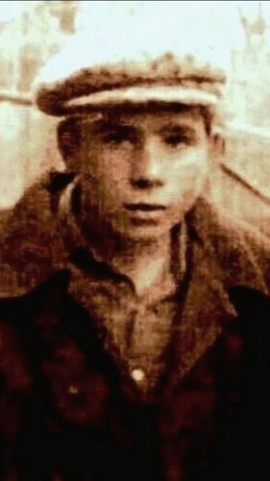 Журавли далеко улетали!