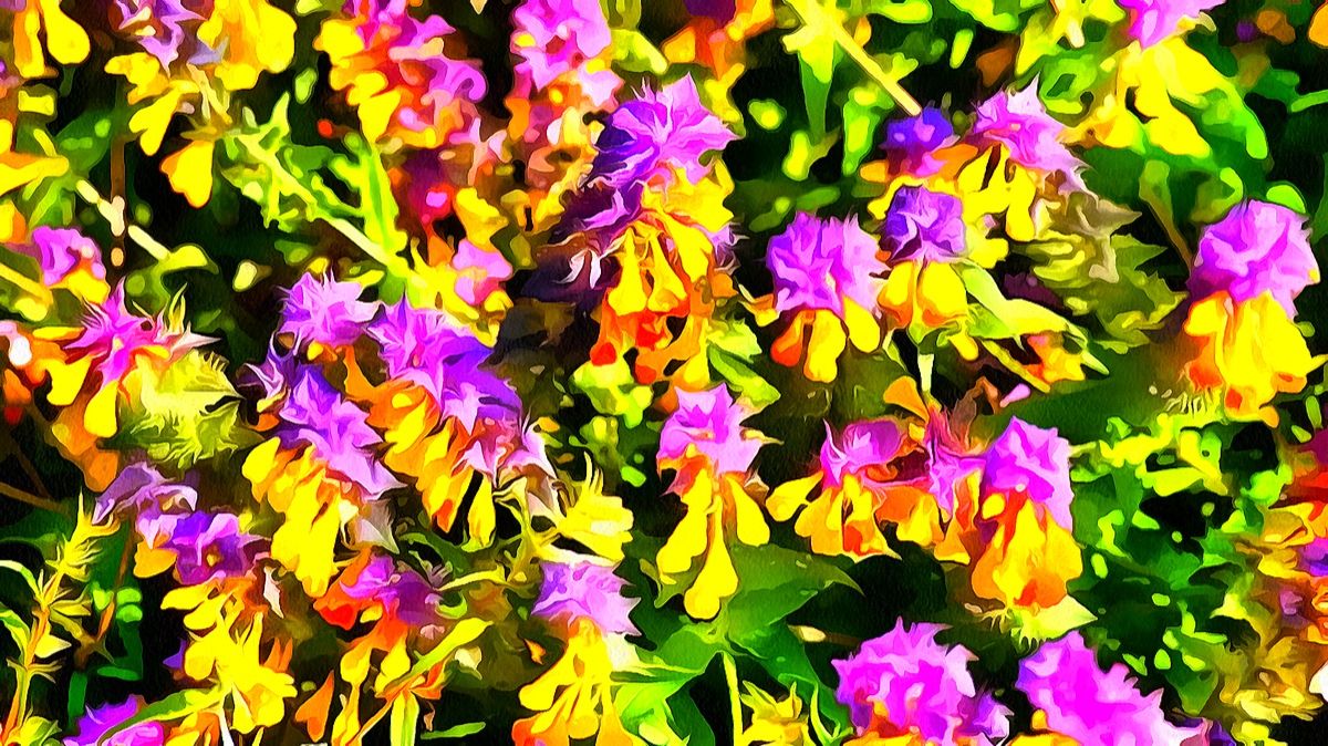 Иван да Марья