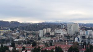 Сочи. Январь 2026. Попала, куда хотела. С праздником всех!