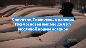 Синоптик Тишковец: в районах Подмосковья выпало до 65% месячной нормы осадков