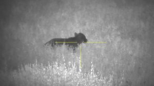 Sytong HT60, не плохой цифровик из китая.