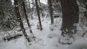 Красноярск. Siberia. MusicInDaLes. Полюса Северная сказка Тайга