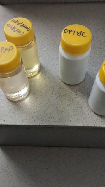 От белокрылки. От яйца до имаго