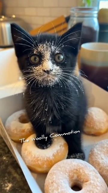 И как его ругать?