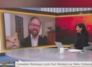 Шерстяные в телевизоре