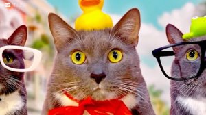 ЛОТКОВ В ПОИСКАХ ЛЕТА