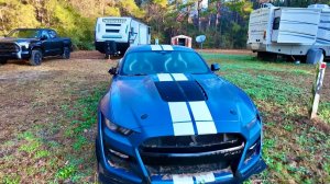 Новогодняя ночь в кемпинге🎄Друзья и подарки 🎁