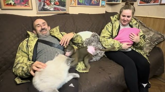 Не угомонная Анфиса ЗНАКОМИТСЯ с Николь, это надо видеть 😄😄😄 смотреть онлайн