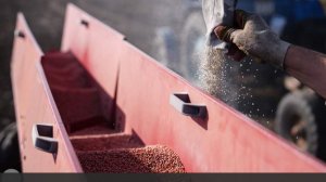 В «Агроэкспорте» раскрыли особенности поставок сельхозпродукции в 2026 году