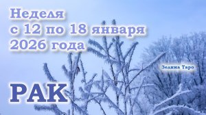 РАК | ТАРО прогноз на неделю с 12 по 18 января 2026 года