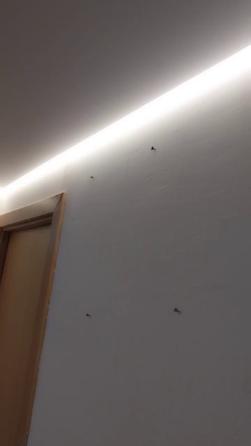 Парящий потолок Волгоград.