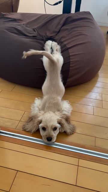 Когда ещё не решила: идти или нет😏))