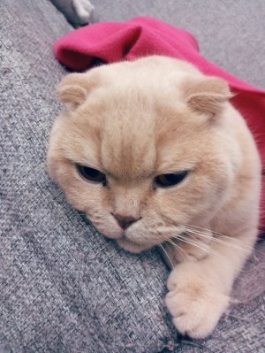 всем привет! давайте начнем эфир!