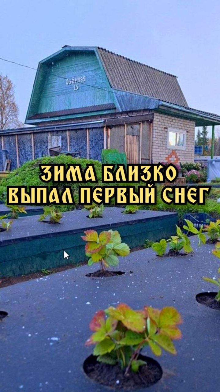Дача. Выпал первый снег. Зима близко. смотреть онлайн