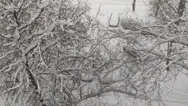 Метель в Москве. Сильный снегопад в Москве. Снегопад. Снег. Непогода. Циклон Фрэнсис. 9 января 2026