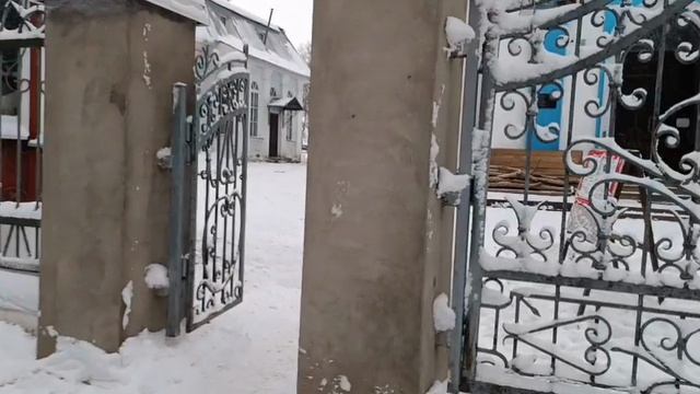 #прогулка по новогоднему городу и у красавицы елки смотреть онлайн