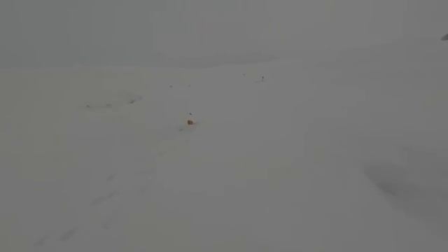 Рыбалка в Торғай, устал бегать , чуть не лешился пальца…