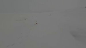 Рыбалка в Торғай, устал бегать , чуть не лешился пальца...