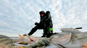 РЫБАЛКА ОКУНЬ НА БАЛАНСИР!