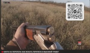 ОХОТА НА ПЕРЕПЕЛА С СОБАКАМИ В АДЫГЕЕ 🔴ОХОТРАДИО