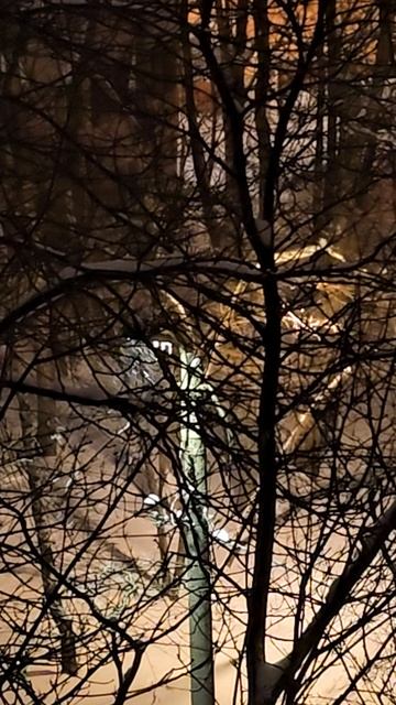 Москва  -10🌡❄️ 😶🌫️ Moscow  -10🌡❄️ 😶🌫️ смотреть онлайн