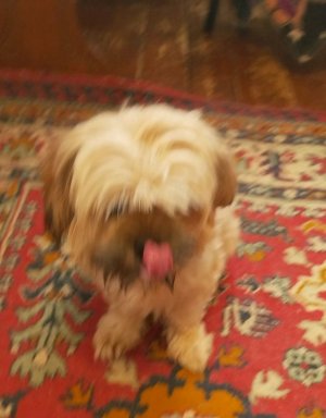 прости день