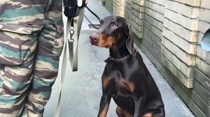 МЭРИ!!! Александр Басин!!! Александр Смирнов!!!