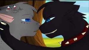 Коты воители MAP | Supernatural