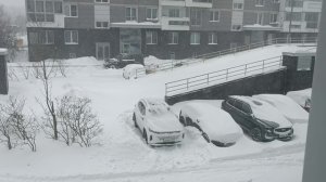 Снежный апокалипсис в Подмосковье,на Рублёвке