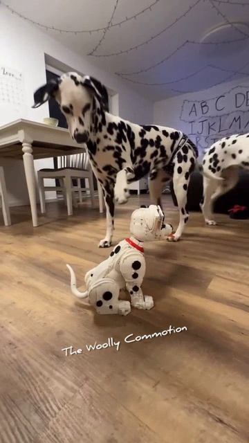 Что за лев этот тигр?