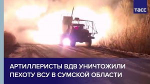 Артиллеристы ВДВ уничтожили пехоту ВСУ в Сумской области