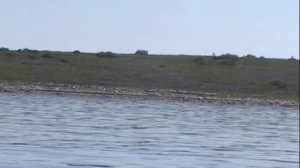 ©  "Остров Большой Заяцкий с моря"  2004 г