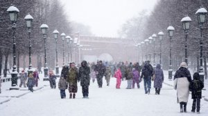 Пик снегопада в Московском регионе прогнозируется утром и днем 9 января