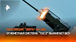 "Тосочка" выжигает позиции ВСУ на красноармейском направлении