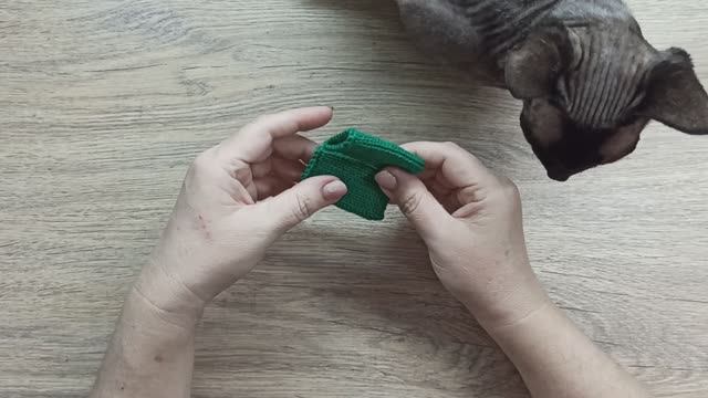 ТРИОСТАРТЫ ЯНВАРЯ   2026   ТРЕТИЙ СТАРТ   ГЕТРЫ смотреть онлайн