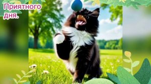 Приятного дня.  Котики. Открытка.