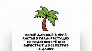 Интересные факты 🤓