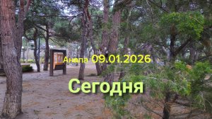 Анапа 09.01.2026 Сегодня