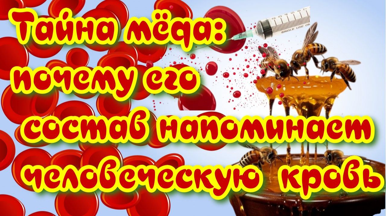 Мёд и кровь: удивительное сходство минерального состава смотреть онлайн