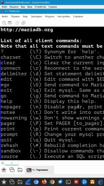 Как подключиться к MariaDB. #linux #sql #linuxcommandlinetutorial #coding смотреть онлайн