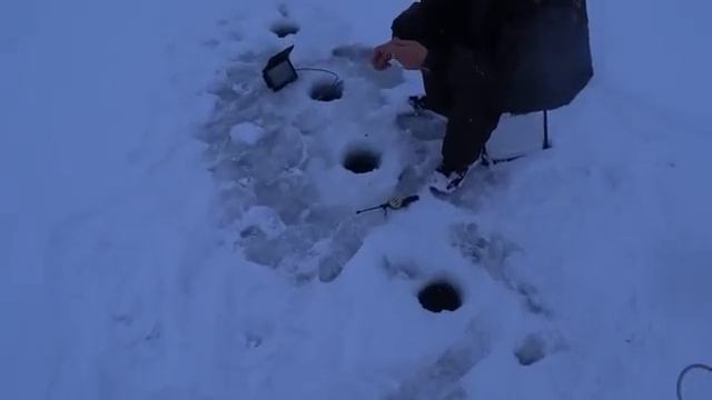 В этой реке еще есть крупная Щука! Бонус в начале года !