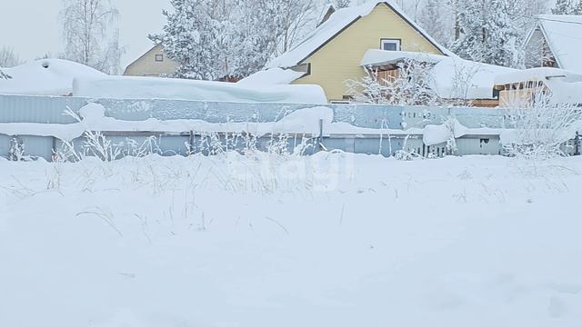 10563993 Березовое